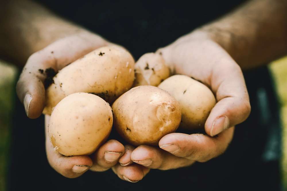 The policy shift South Africa needs to achieve food sustainability