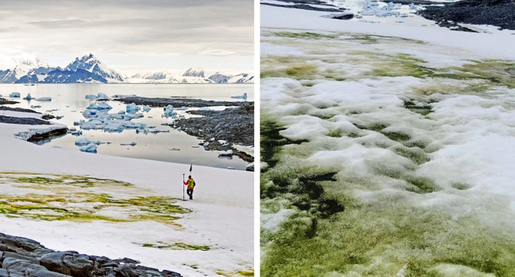 Global warming is the increase of the Earth's average surface temperature