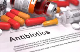 Antibiotic resistance: scientists are reengineering viruses to cure bacterial infections