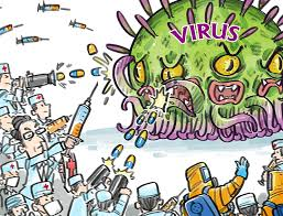 Hantavirus in Africa: why climate change, rats and weak surveillance are worrying scientists
