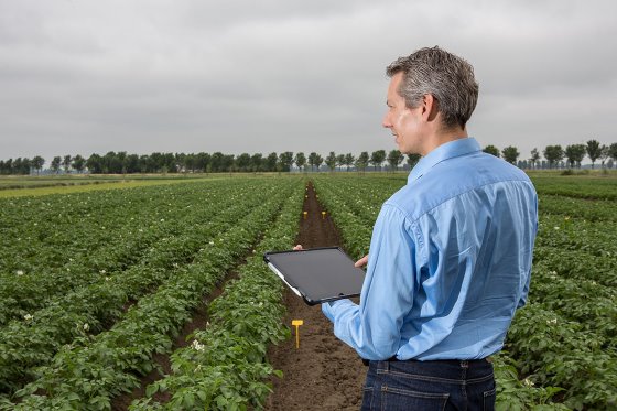 South Africa farm economy to recover in 2020