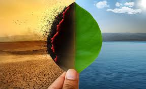 Climate facts belie the climate scares and climate forecasts