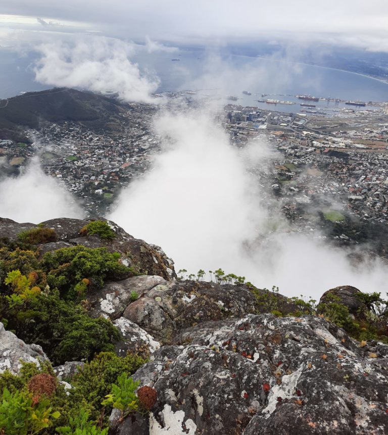 Clouds affected by wildfire smoke may produce less rain