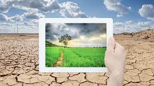 Climate change report: what we must do to avert the looming crisis