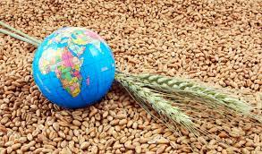 No place for complacency as South Africa’s food security improves
