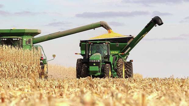 Perspectives on agriculture's GDP performance in Q2 2022 