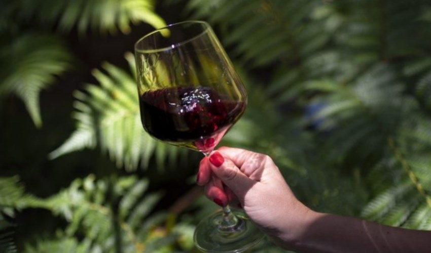 Alcohol warning for South Africa