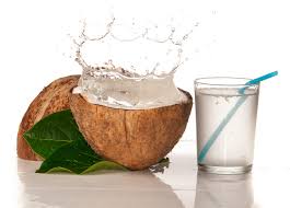 How do coconuts get their water?