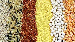 Agbiz warns of alarming rise in food insecurity despite agricultural export success