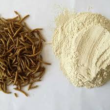 Africa’s superfood heroes – from teff to insects – deserve more attention