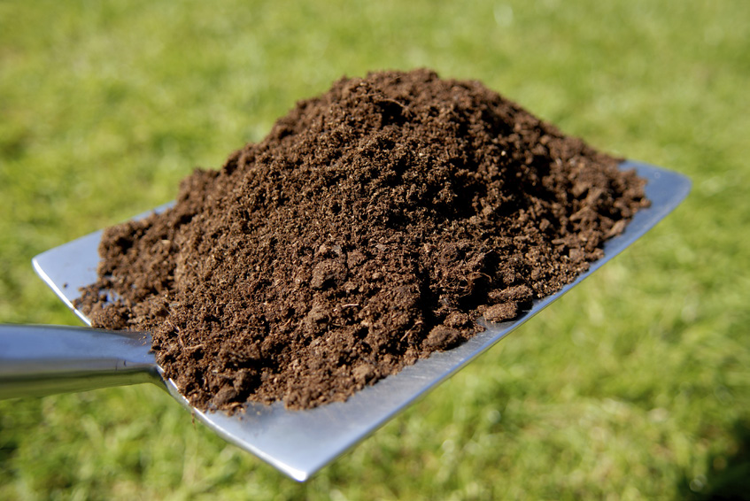 ‘Heavy metals’ contaminate 17% of the world’s croplands, say scientists