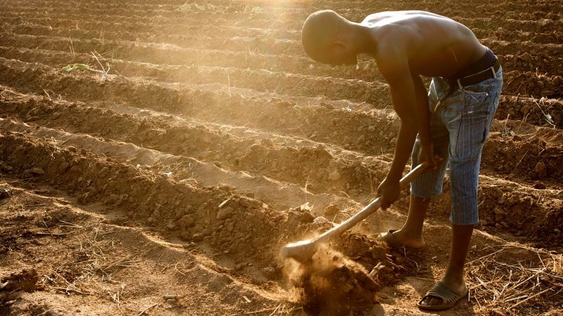 South Africa's land ownership debate