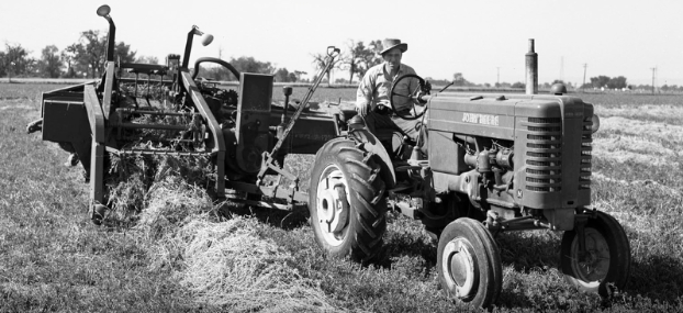 Understanding Agriculture in South Africa – the critical numbers and the obvious conclusions
