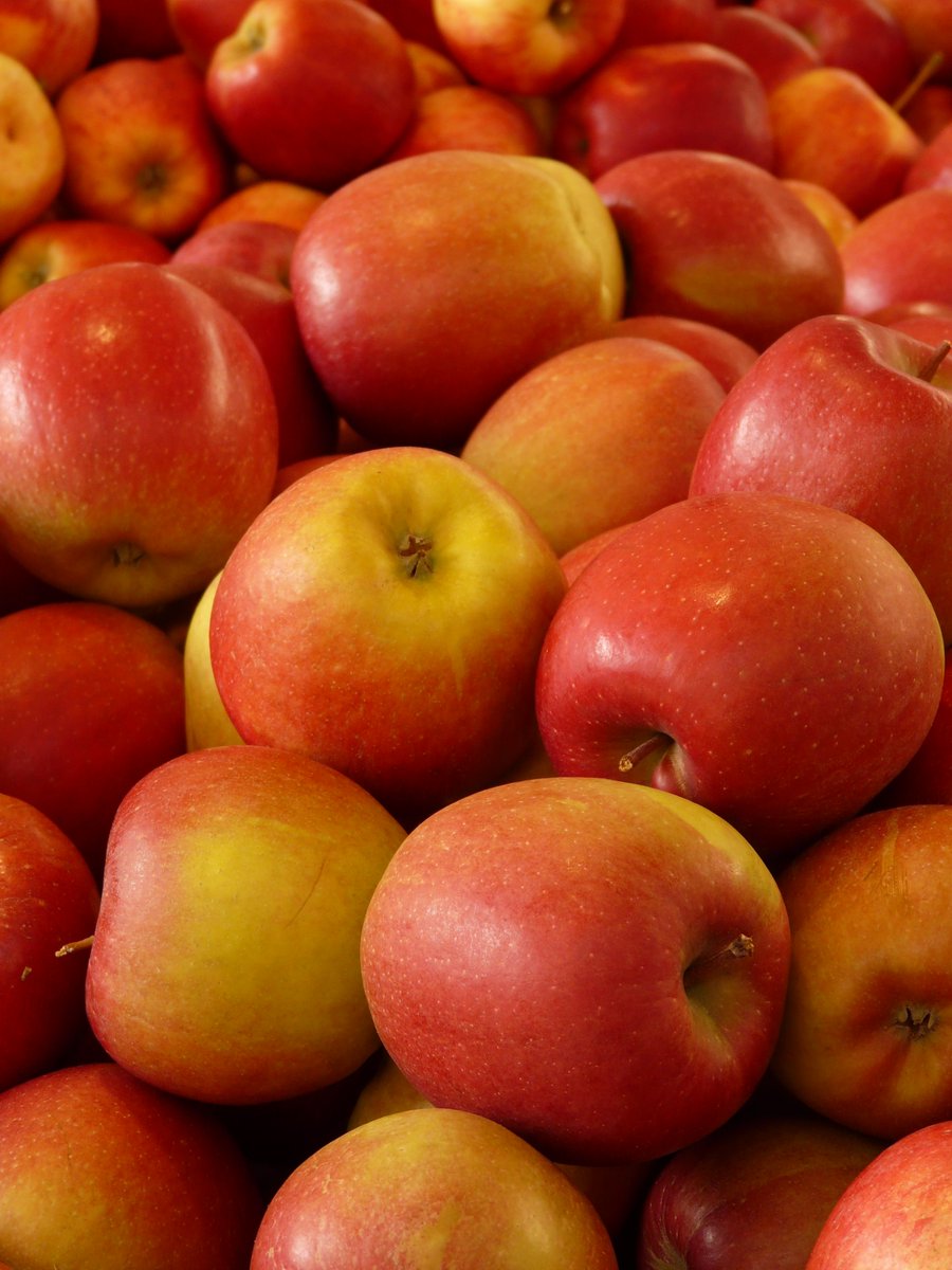 Science Reveals How Fruit Keeps A Lid On Ripening Until The Time Is Right