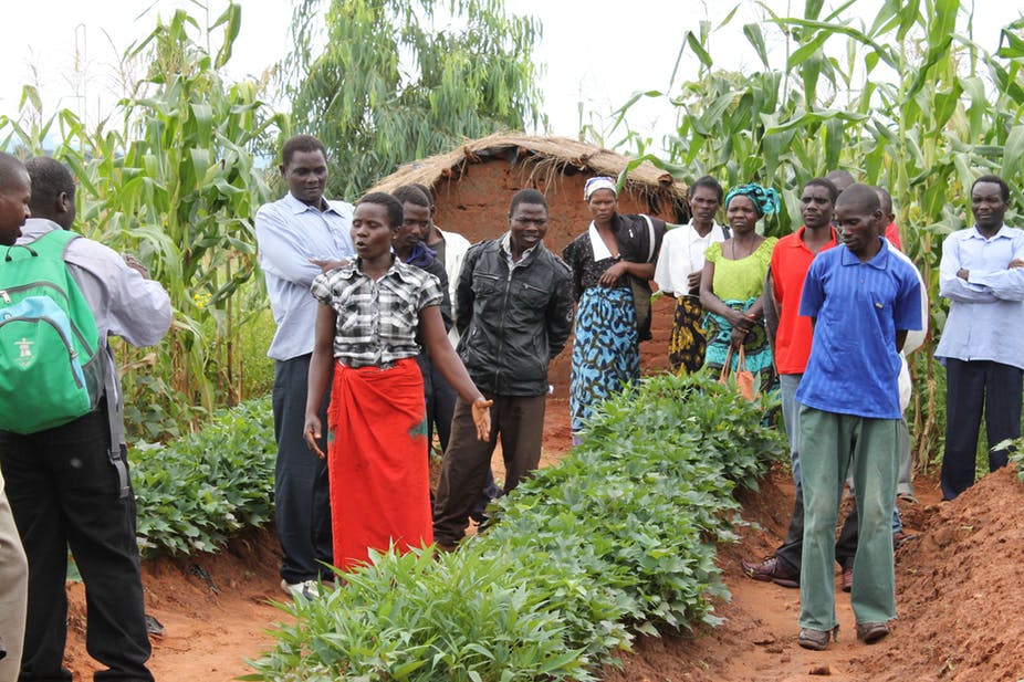 Survey shows a majority of South Africans support land reform- 