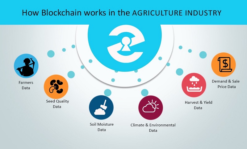Revisiting key recommendations of the Biosecurity Task Team of 2022