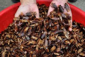 Lack of Coffee Gives Sellers a Headache as Farmers Hoard Beans