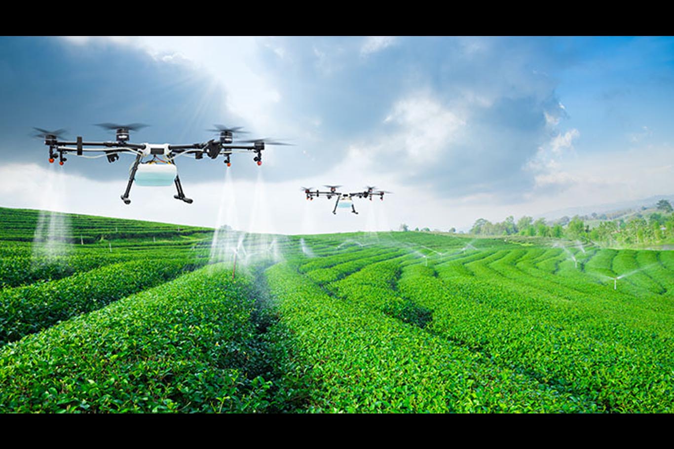 South Africa’s first crop-spraying drones can legally fly from today – saving farmers millions
