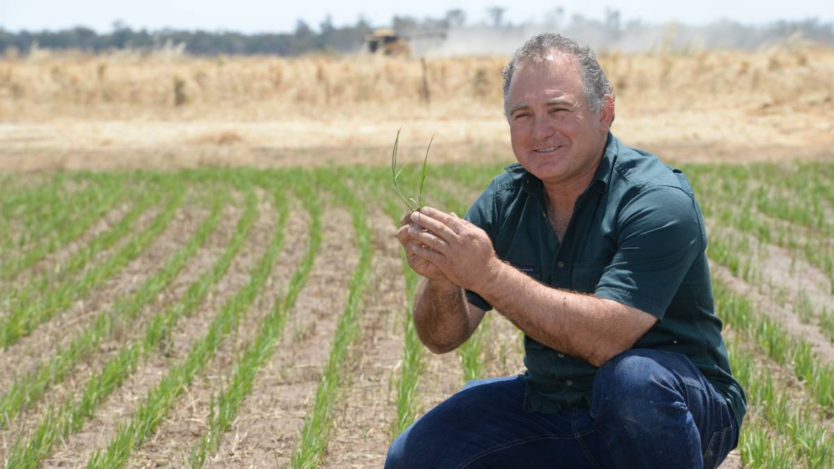 Jy is Landbouer in murg en been.  Suid Afrika 