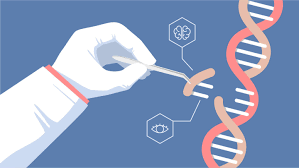 Organic farming with gene editing—an oxymoron or a tool for sustainable agriculture?