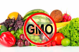 Zambia’s insistence on GMO-free maize imports will hurt consumers’ pockets