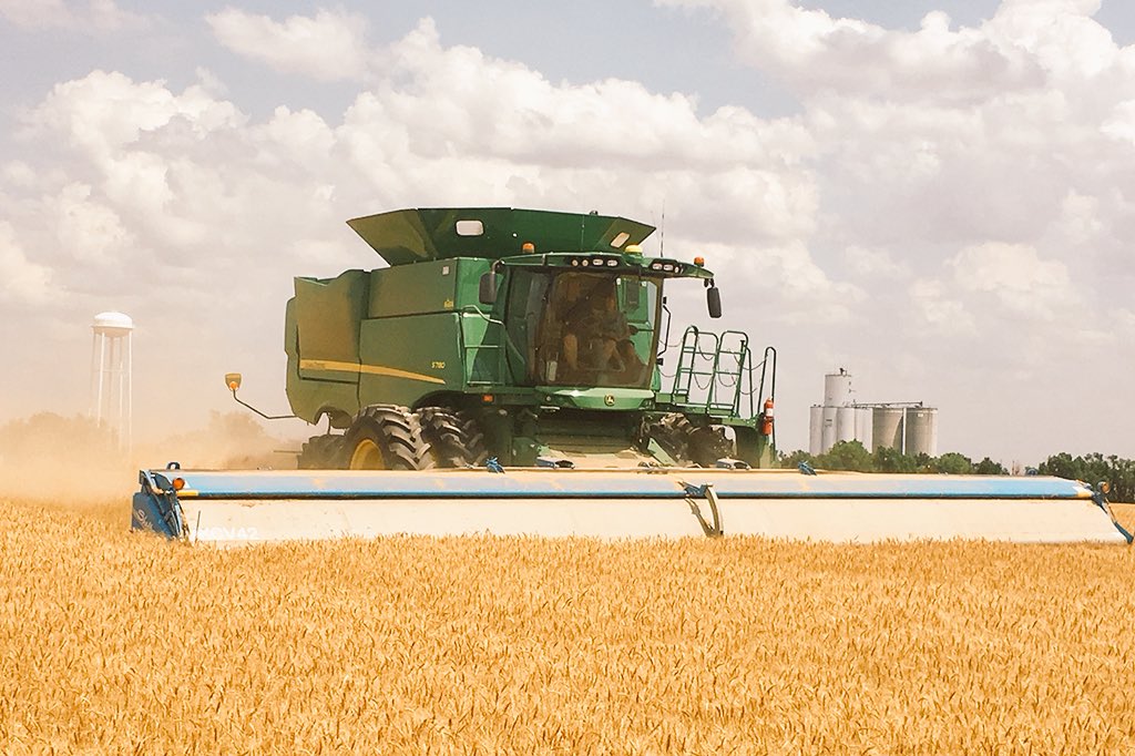 World wheat production problems come to the fore