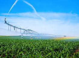 The Future of Precision Irrigation: 4 Technologies Making Watering Systems More Efficient