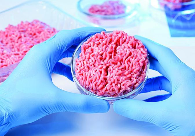 Meat grown from cells: companies clamour to put it on your plate ( Video) 