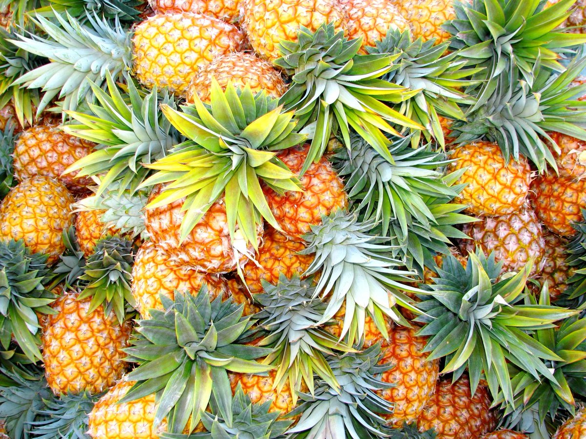 Amazing pineapple leaf powder that fights crime and pollution: new research