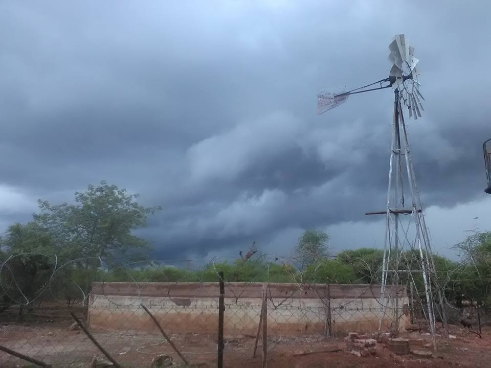 Cumulus Report: 24 January 2020