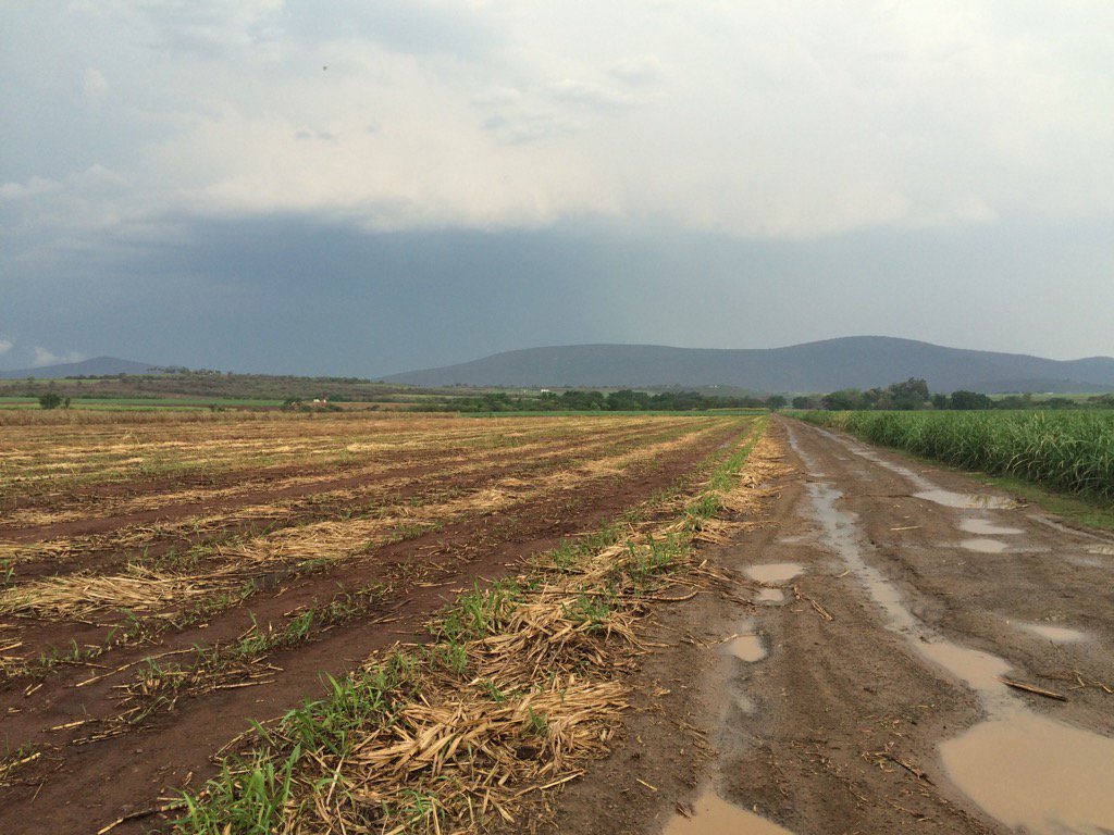 Above-normal summer rainfall anticipated for 2020/21