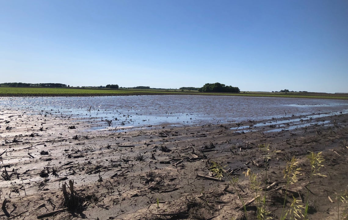 Cumulus Report: 20 November 2019- South Africa