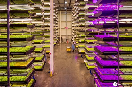 How vertical farms could be ready to take-off
