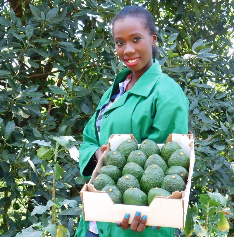 Increased women’s participation in the agricultural sector and within CPA structures of land reform should be prioritised to drive a holistic transformation agenda   