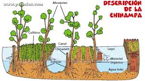 How the Aztecs could improve modern urban farming