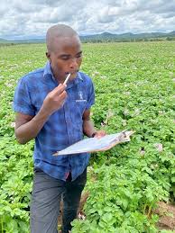 Why smallholder farmers must be the epicenter of global supply chain transformation