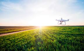 Expropriation Bill: What you need to know...