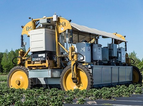 Four ways robotics will influence agriculture in 2019