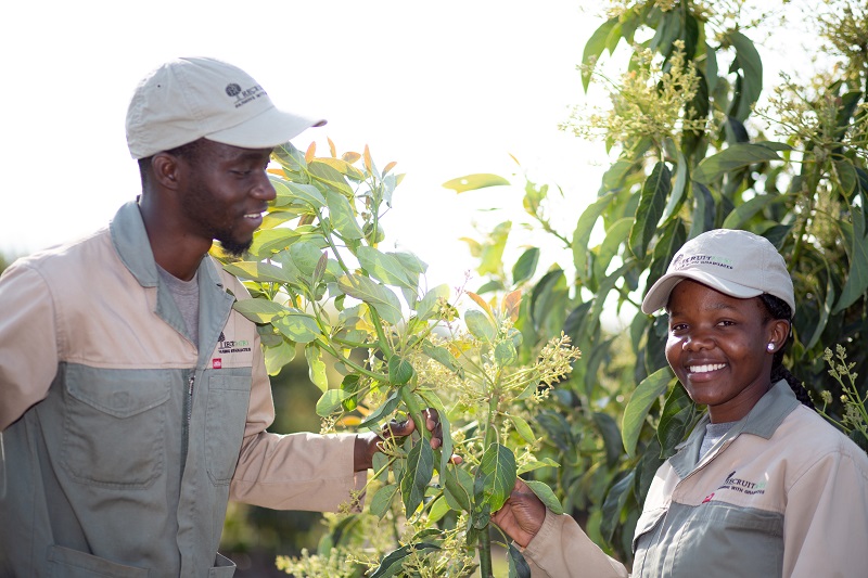 What can government do to help our farmers?