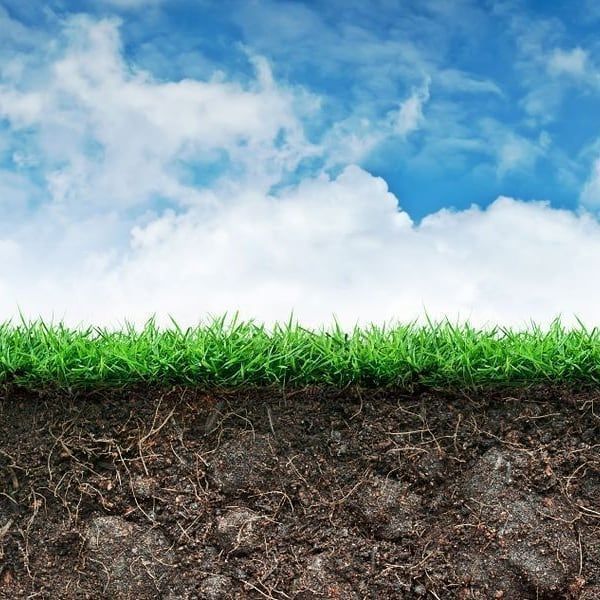 Nanotechnology grow more food using less energy and water