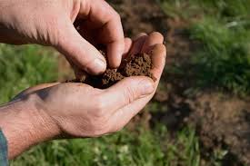 Healthy soil can protect land from soaring heat. But our map shows where soil is suffering