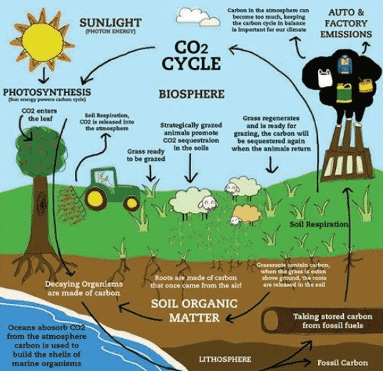 Dynamic Potassium Management in Soils with Variable CEC