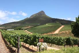Preliminary views on the impact of the recent floods on the Western Cape's agriculture